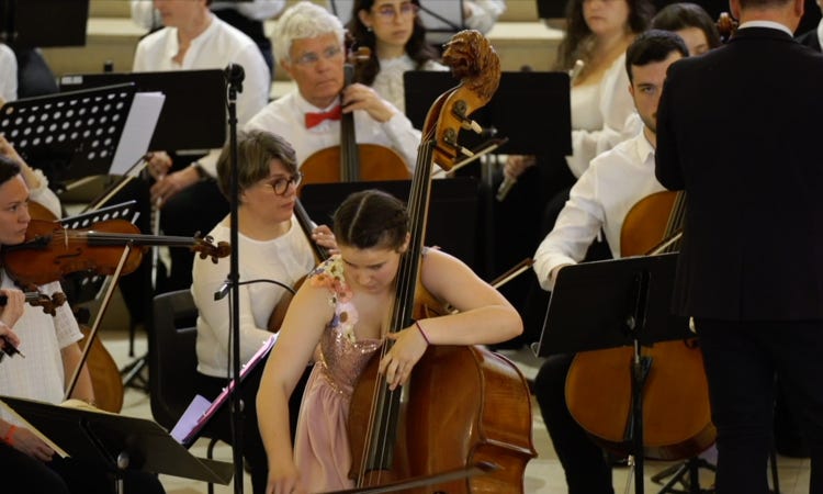 Lark Ascending ; La Fosse Ô Lyon ; orchestre amateur lyon ; orchestre symphonique ; Orchestre Lyon